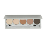 Colorescience Mineral Eye and Brow Palette
