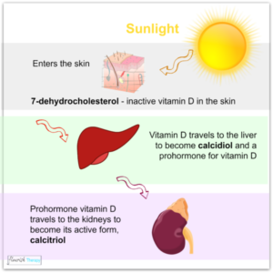 Vitamin D for Skin